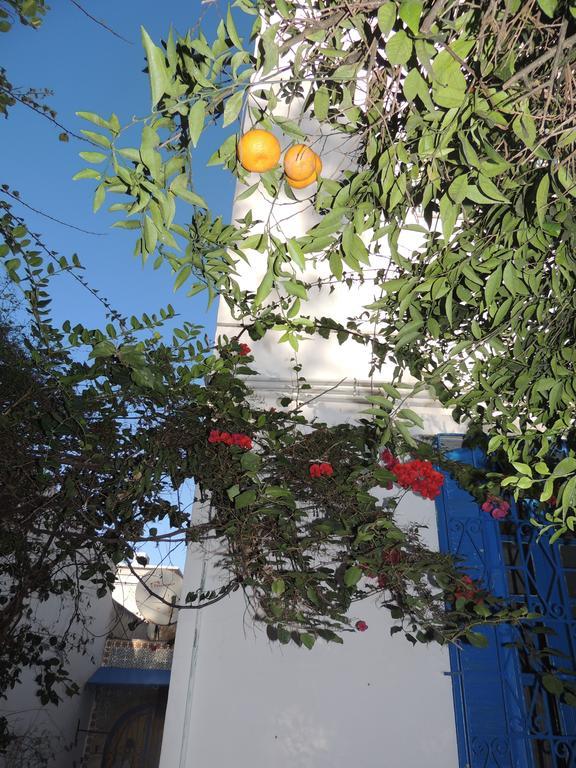 The 18, Marsa Guest House La Marsa Exterior foto