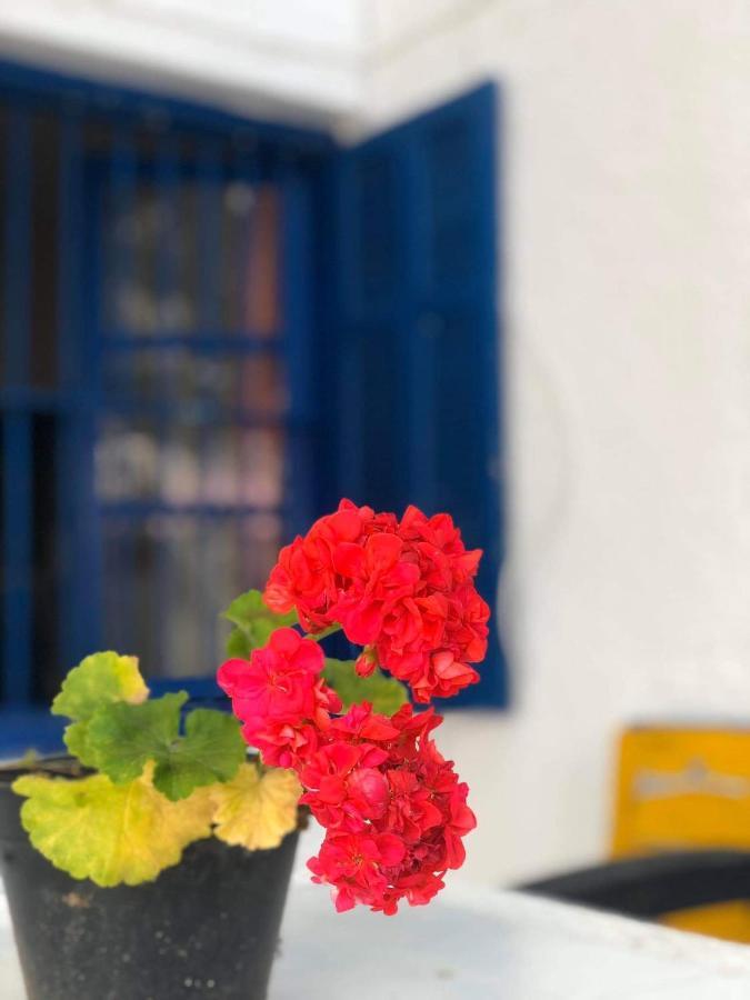 The 18, Marsa Guest House La Marsa Exterior foto