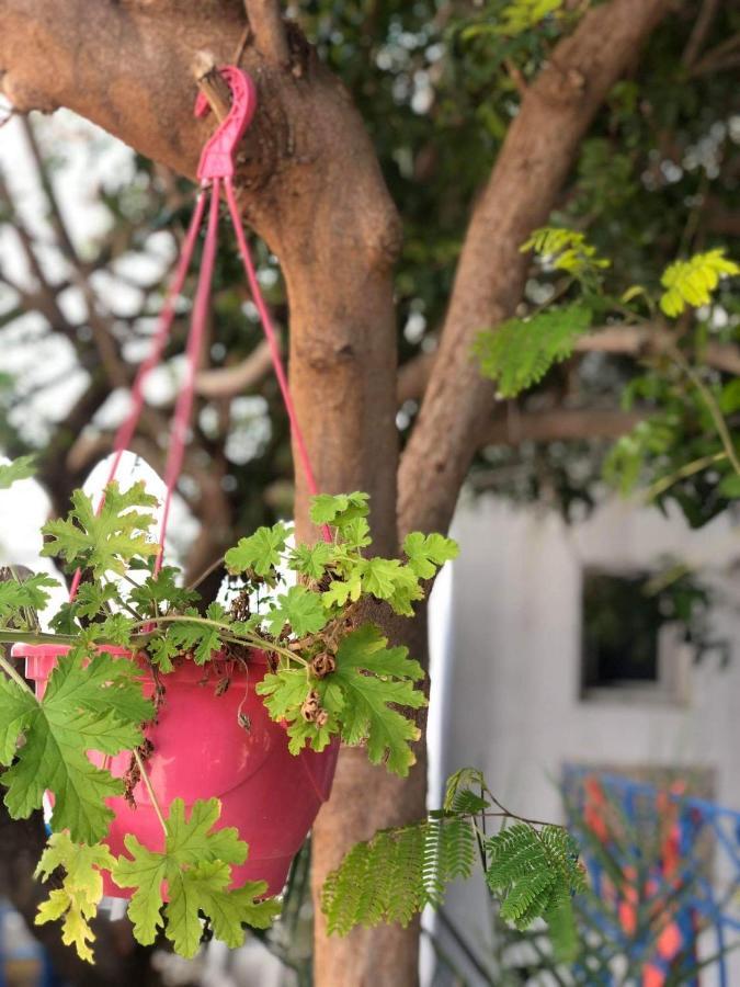 The 18, Marsa Guest House La Marsa Exterior foto